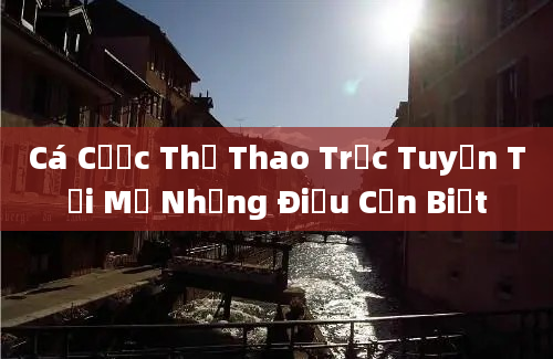 Cá Cược Thể Thao Trực Tuyến Tại Mỹ Những Điều Cần Biết