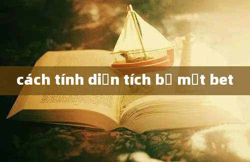 cách tính diện tích bề mặt bet