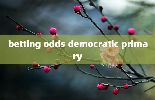 betting odds democratic primary