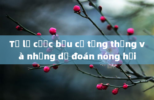 Tỷ lệ cược bầu cử tổng thống và những dự đoán nóng hổi