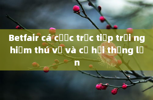 Betfair cá cược trực tiếp trải nghiệm thú vị và cơ hội thắng lớn