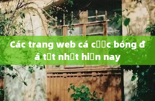 Các trang web cá cược bóng đá tốt nhất hiện nay