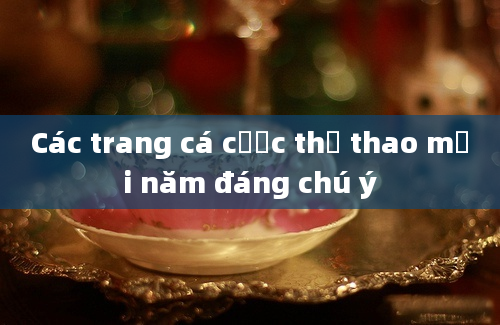 Các trang cá cược thể thao mới năm đáng chú ý