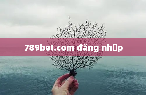 789bet.com đăng nhập