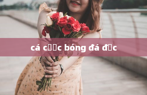 cá cược bóng đá đức