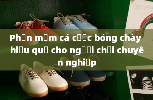 Phần mềm cá cược bóng chày hiệu quả cho người chơi chuyên nghiệp