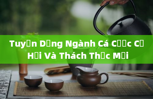 Tuyển Dụng Ngành Cá Cược Cơ Hội Và Thách Thức Mới