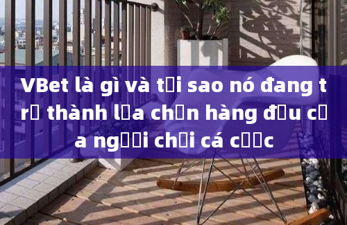 VBet là gì và tại sao nó đang trở thành lựa chọn hàng đầu của người chơi cá cược