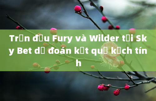 Trận đấu Fury và Wilder tại Sky Bet dự đoán kết quả kịch tính