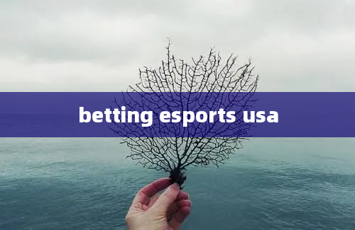 betting esports usa