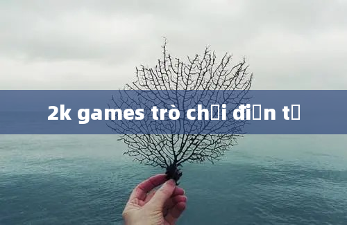 2k games trò chơi điện tử