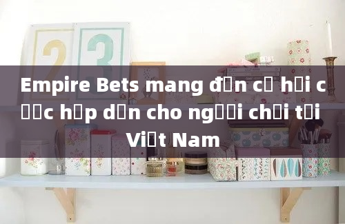 Empire Bets mang đến cơ hội cược hấp dẫn cho người chơi tại Việt Nam