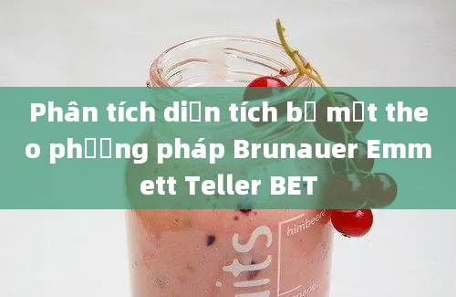 Phân tích diện tích bề mặt theo phương pháp Brunauer Emmett Teller BET