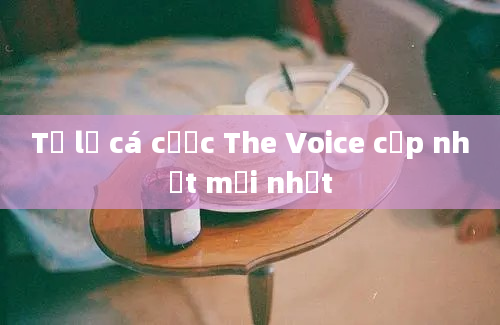 Tỷ lệ cá cược The Voice cập nhật mới nhất