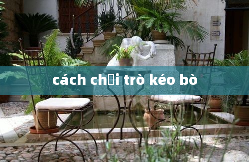 cách chơi trò kéo bò