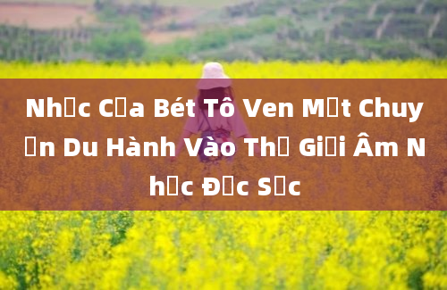 Nhạc Của Bét Tô Ven Một Chuyến Du Hành Vào Thế Giới Âm Nhạc Đặc Sắc