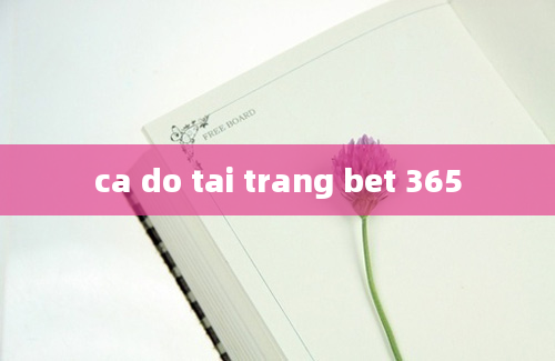 ca do tai trang bet 365