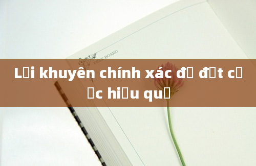 Lời khuyên chính xác để đặt cược hiệu quả