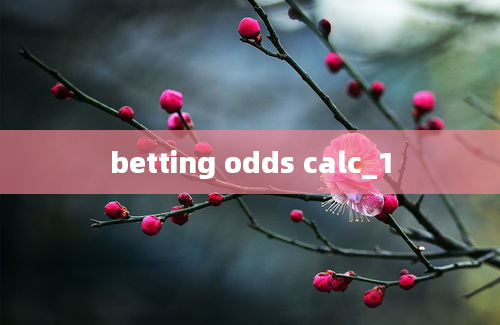 betting odds calc_1