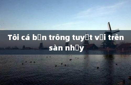 Tôi cá bạn trông tuyệt vời trên sàn nhảy