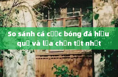 So sánh cá cược bóng đá hiệu quả và lựa chọn tốt nhất