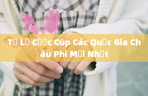 Tỷ Lệ Cược Cúp Các Quốc Gia Châu Phi Mới Nhất