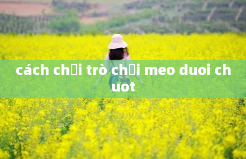 cách chơi trò chơi meo duoi chuot