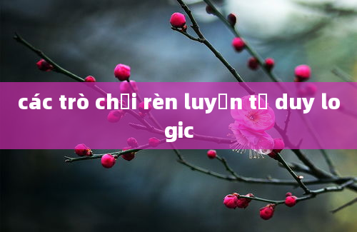 các trò chơi rèn luyện tư duy logic