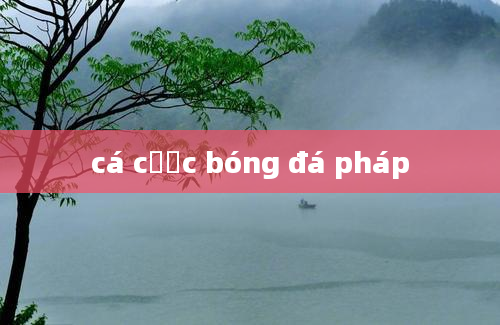 cá cược bóng đá pháp