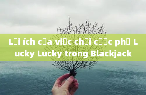 Lợi ích của việc chơi cược phụ Lucky Lucky trong Blackjack