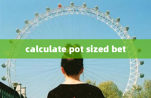 calculate pot sized bet