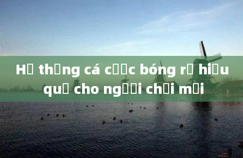 Hệ thống cá cược bóng rổ hiệu quả cho người chơi mới