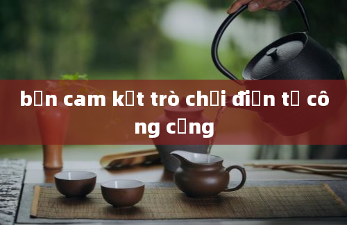 bản cam kết trò chơi điện tử công cộng