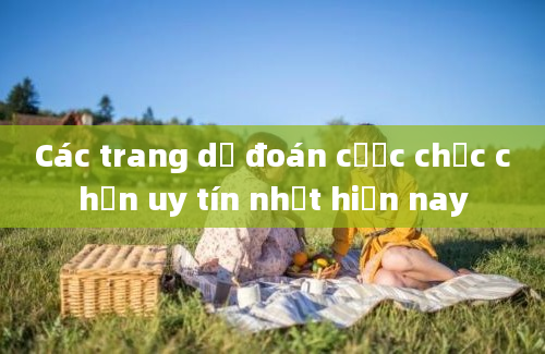 Các trang dự đoán cược chắc chắn uy tín nhất hiện nay