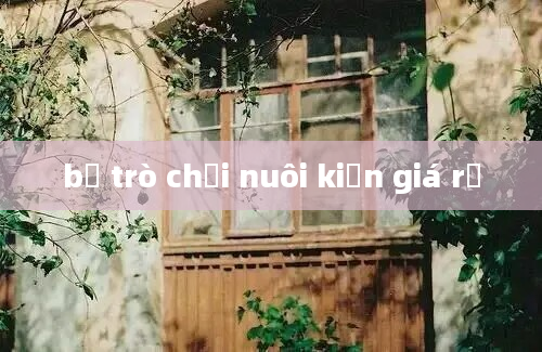 bộ trò chơi nuôi kiến giá rẻ