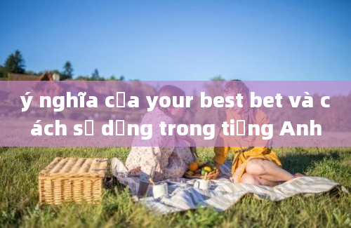 ý nghĩa của your best bet và cách sử dụng trong tiếng Anh