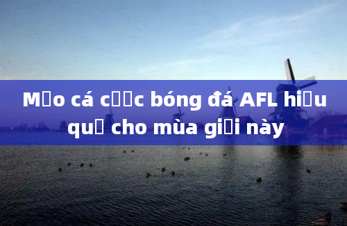 Mẹo cá cược bóng đá AFL hiệu quả cho mùa giải này