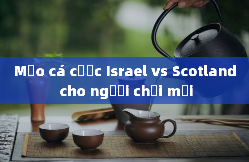 Mẹo cá cược Israel vs Scotland cho người chơi mới