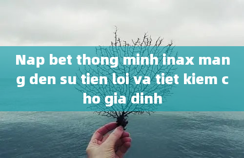 Nap bet thong minh inax mang den su tien loi va tiet kiem cho gia dinh