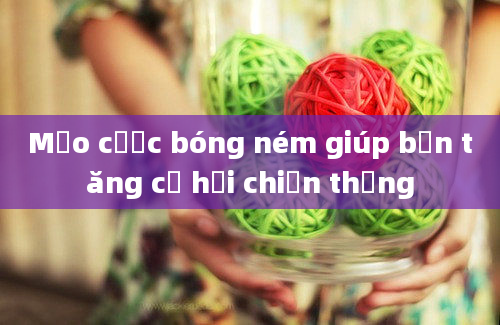 Mẹo cược bóng ném giúp bạn tăng cơ hội chiến thắng