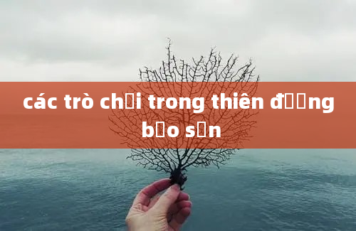 các trò chơi trong thiên đường bảo sơn