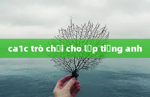 ca1c trò chơi cho lớp tiếng anh