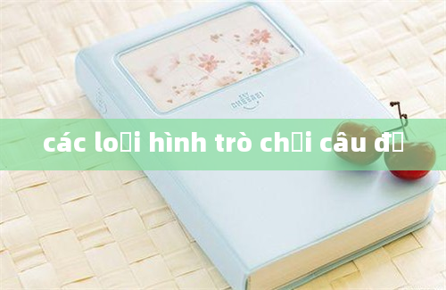 các loại hình trò chơi câu đố