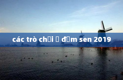 các trò chơi ở đầm sen 2019