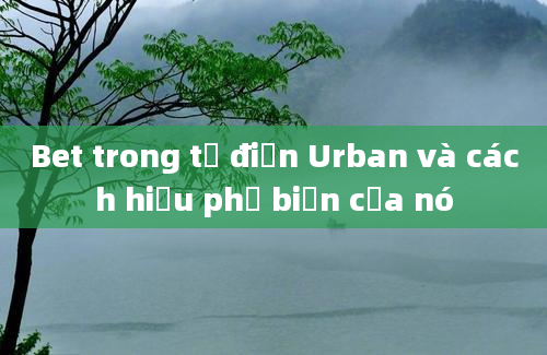 Bet trong từ điển Urban và cách hiểu phổ biến của nó