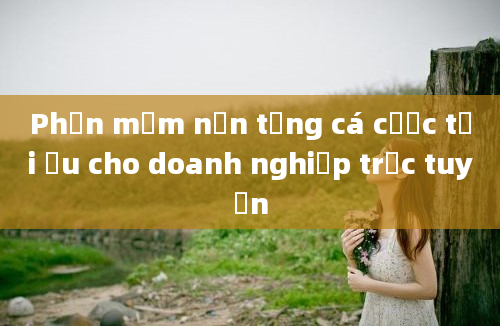 Phần mềm nền tảng cá cược tối ưu cho doanh nghiệp trực tuyến