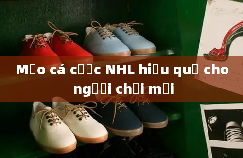 Mẹo cá cược NHL hiệu quả cho người chơi mới