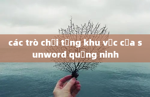 các trò chơi từng khu vực của sunword quảng ninh