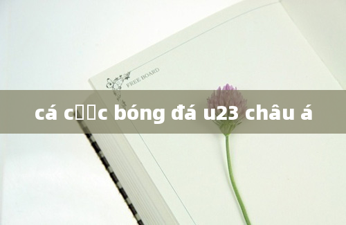 cá cược bóng đá u23 châu á