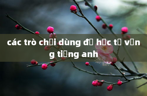 các trò chơi dùng để học từ vựng tiếng anh